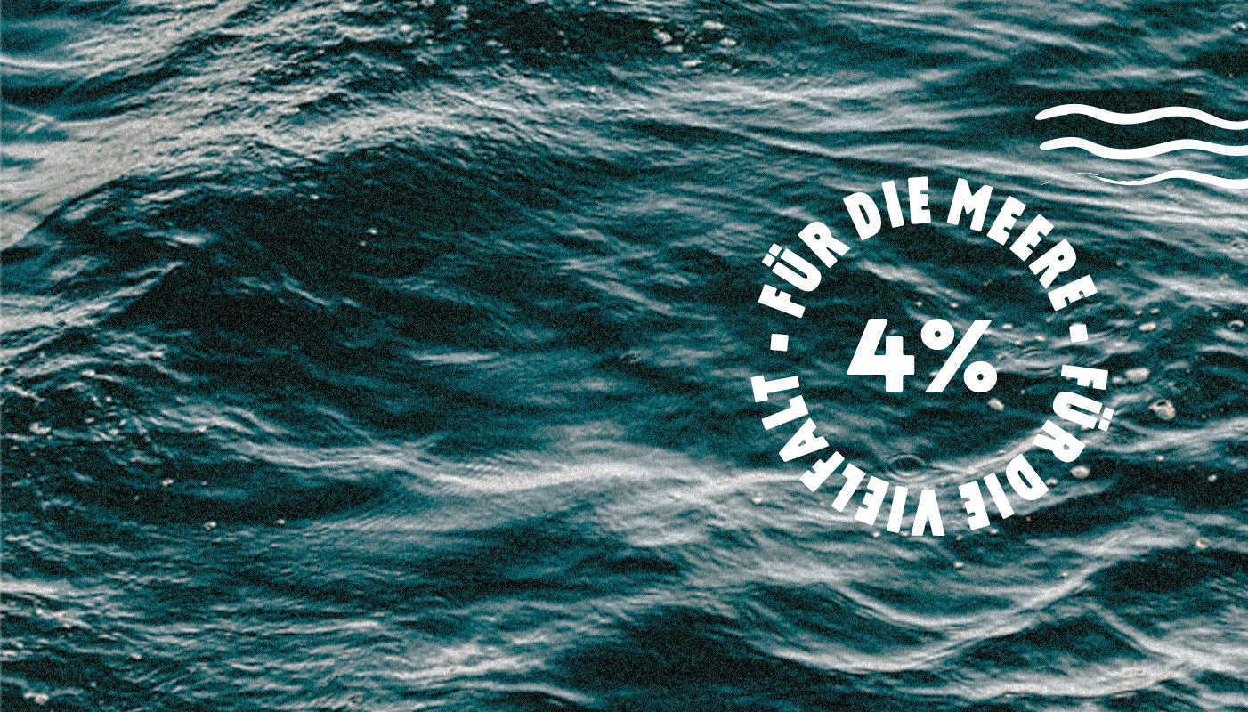 Grafik 4% der Gewinne von Neptuns Söhne gehen an soziale und nachhaltige Projekte