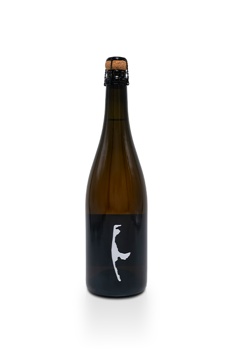 Kayser Chef de Cave Rosé Sekt Brut, Pfalz